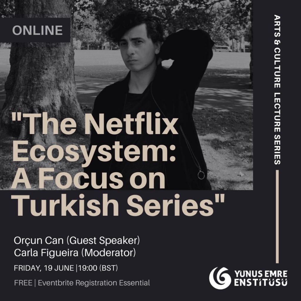 The Netflix Ecosystem: A Focus on Turkish Series